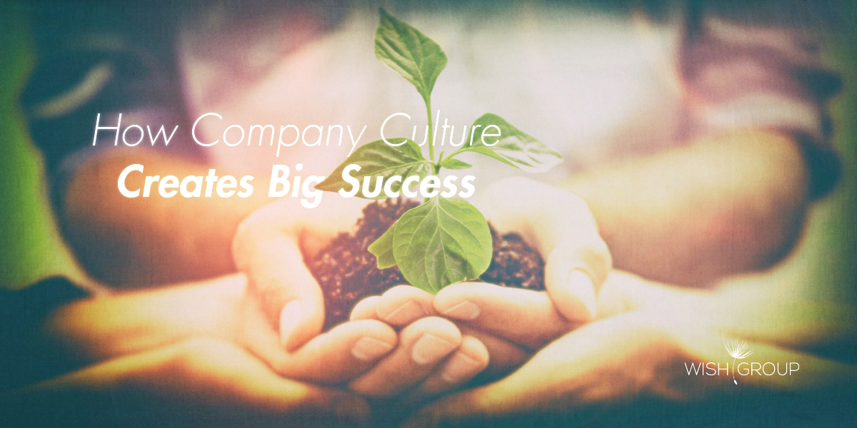 How Company Culture Creates Big Success